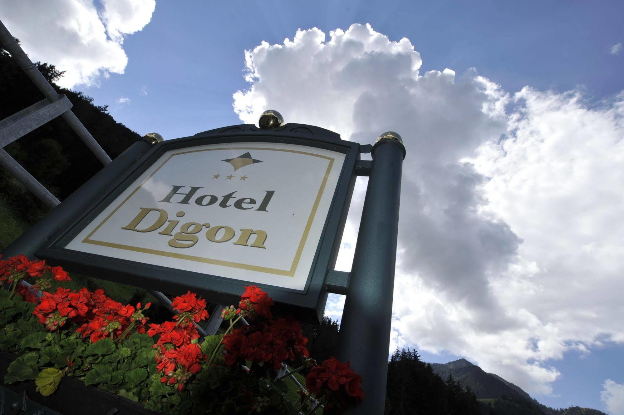 Hotel Digon 3*